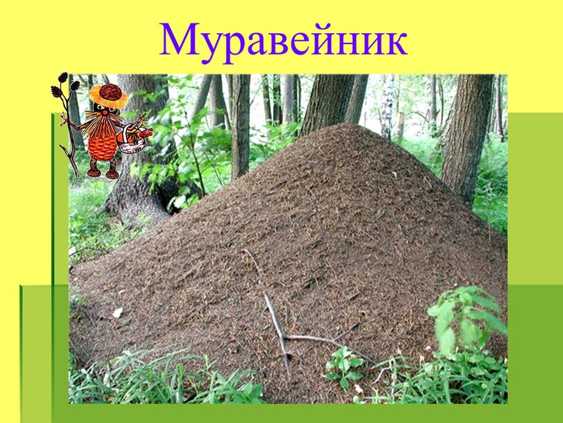 Муравейник