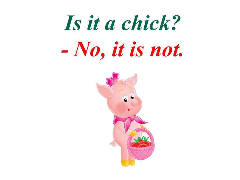 Is it a chick? - No, it is not