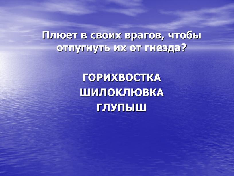 Плюет в своих врагов, чтобы отпугнуть их от гнезда?