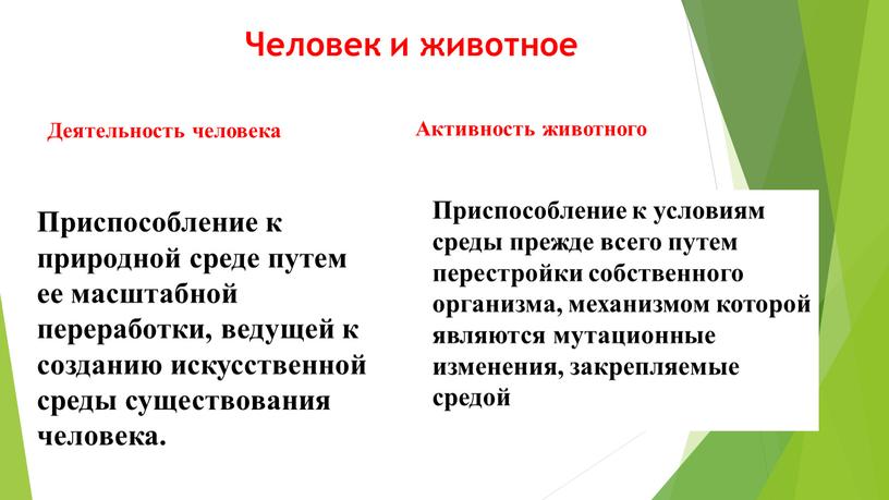 Человек и животное Приспособление к природной среде путем ее масштабной переработки, ведущей к созданию искусственной среды существования человека