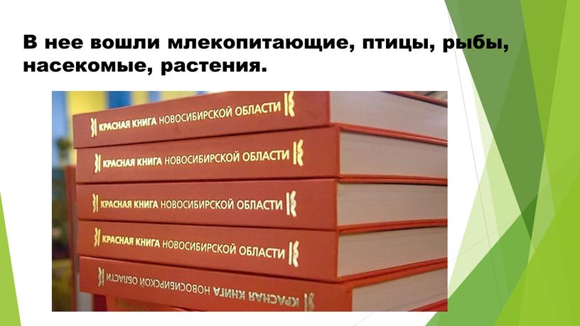 В нее вошли млекопитающие, птицы, рыбы, насекомые, растения