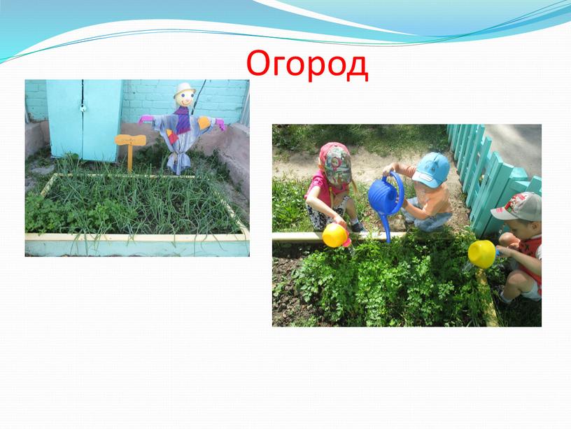 Огород