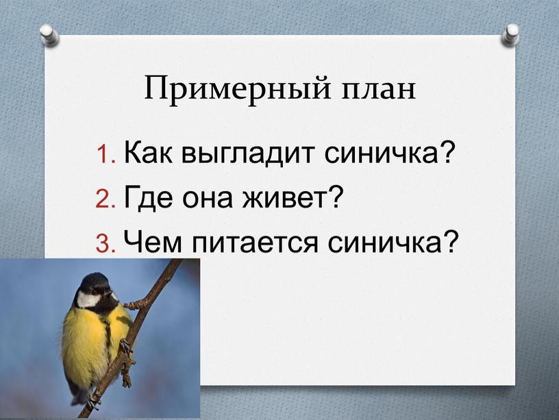 Примерный план Как выгладит синичка?