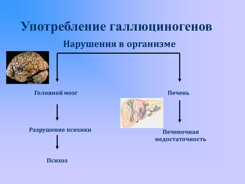 Употребление галлюциногенов Головной мозг