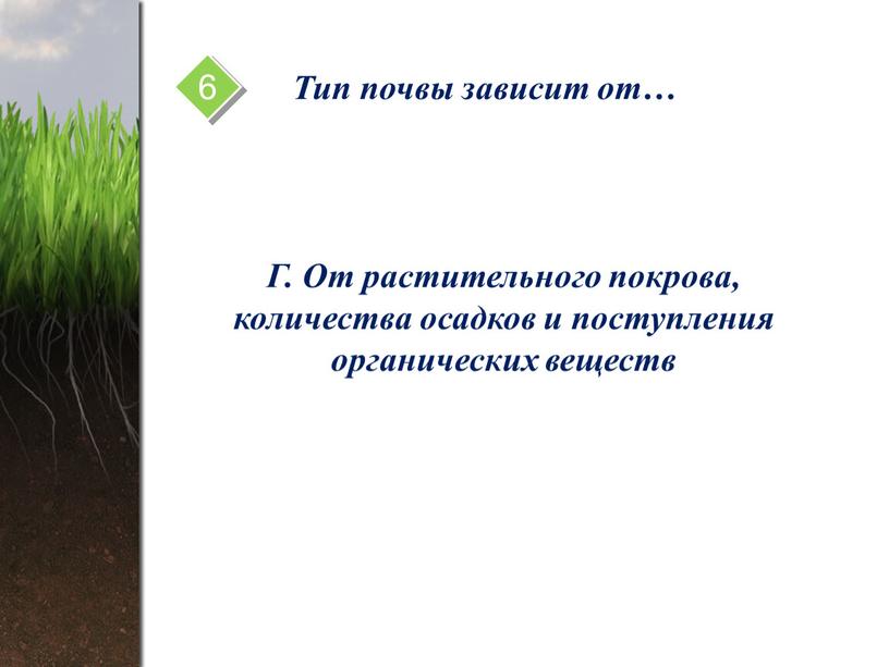 Тип почвы зависит от… Г. От растительного покрова, количества осадков и поступления органических веществ