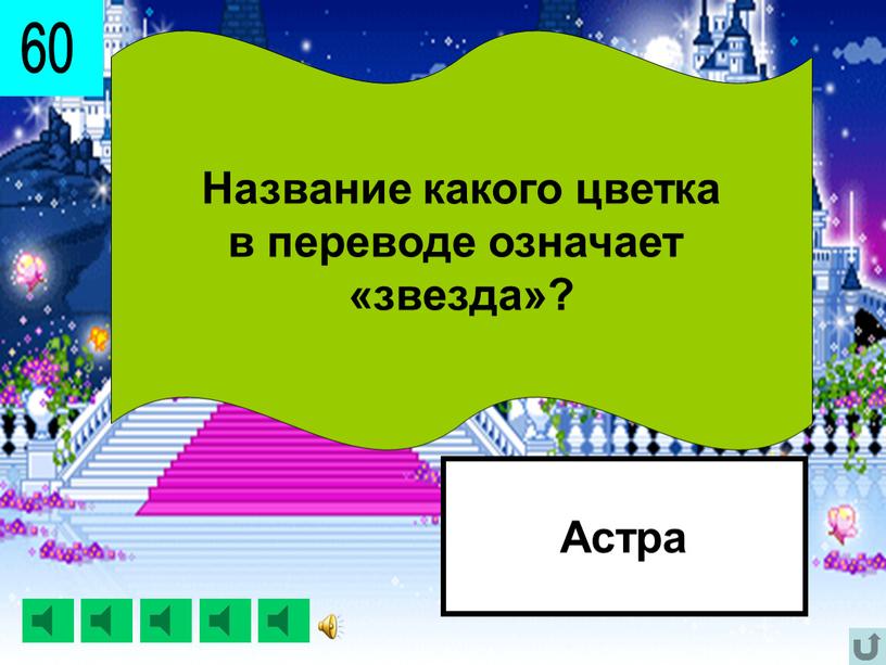 Название какого цветка в переводе означает «звезда»?