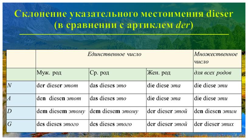 Склонение указательного местоимения dieser (в сравнении с артиклем der )