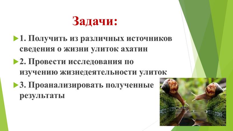 Задачи: 1. Получить из различных источников сведения о жизни улиток ахатин 2