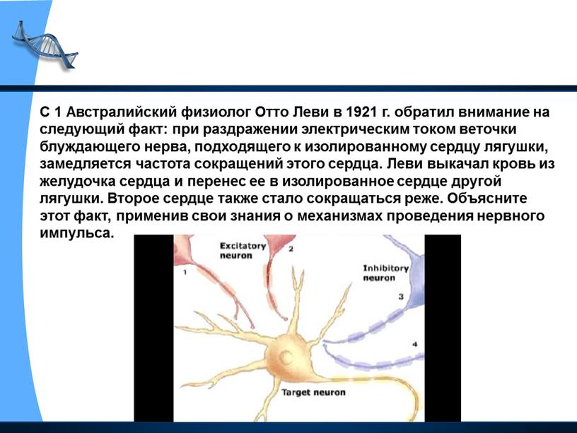 С 1 Австралийский физиолог Отто