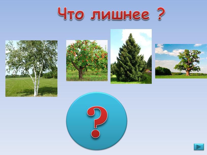 ? Что лишнее ?