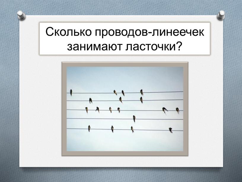 Сколько проводов-линеечек занимают ласточки?