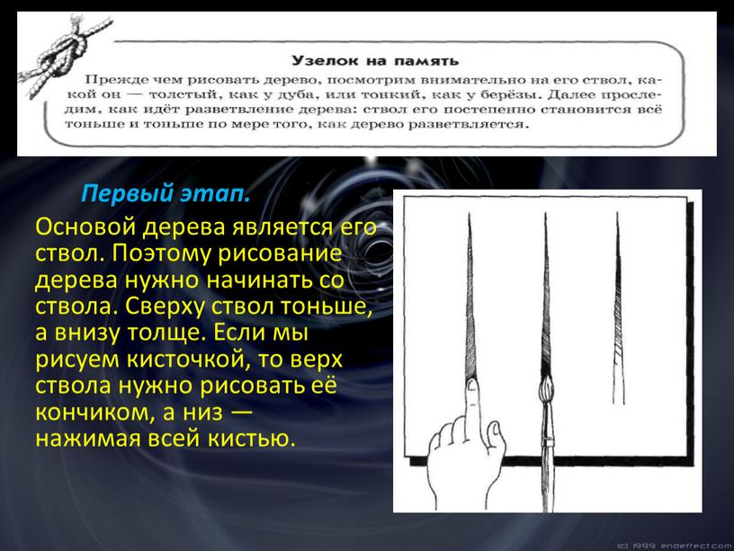 Первый этап. Основой дерева является его ствол