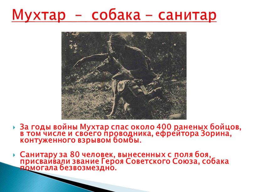 За годы войны Мухтар спас около 400 раненых бойцов, в том числе и своего проводника, ефрейтора