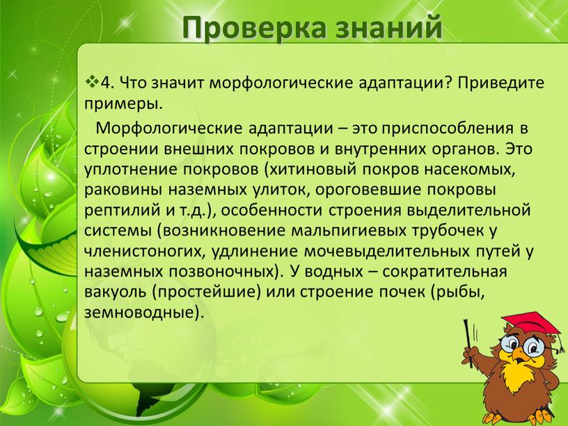 Проверка знаний 4. Что значит морфологические адаптации?