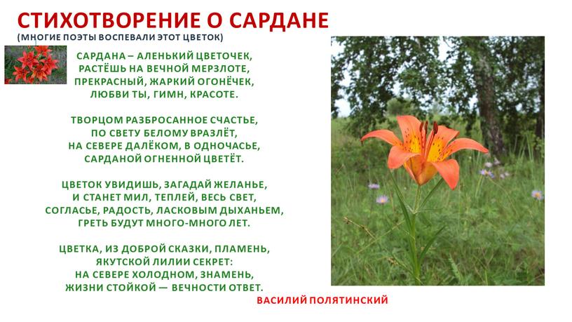 СТИХОТВОРЕНИЕ О САРДАНЕ (МНОГИЕ