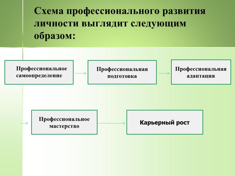 Схема профессионального развития личности выглядит следующим образом: