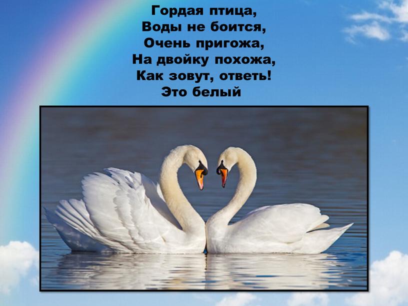 Гордая птица, Воды не боится, Очень пригожа,