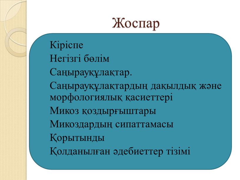 Жоспар Кіріспе Негізгі бөлім