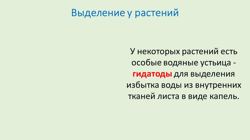 Выделение у растений У некоторых растений есть особые водяные устьица - гидатоды для выделения избытка воды из внутренних тканей листа в виде капель