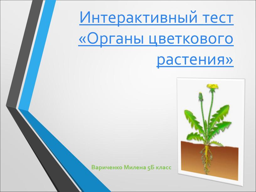 Интерактивный тест «Органы цветкового растения»