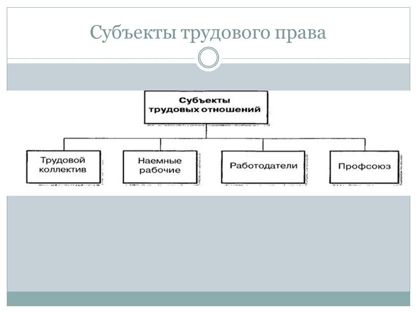 Субъекты трудового права