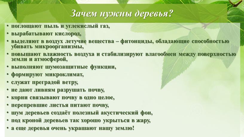 Зачем нужны деревья? поглощают пыль и углекислый газ, вырабатывают кислород, выделяют в воздух летучие вещества – фитонциды, обладающие способностью убивать микроорганизмы, повышают влажность воздуха и…