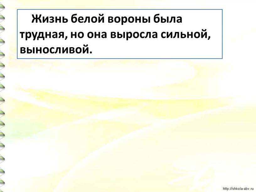 Жизнь белой вороны была трудная, но она выросла сильной, выносливой