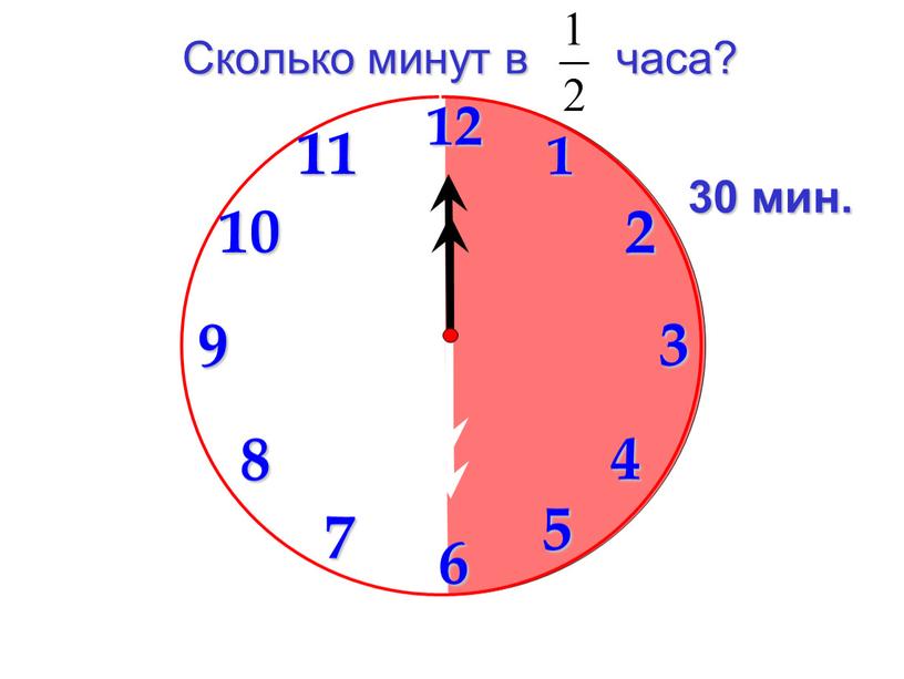 Сколько минут в часа? 30 мин