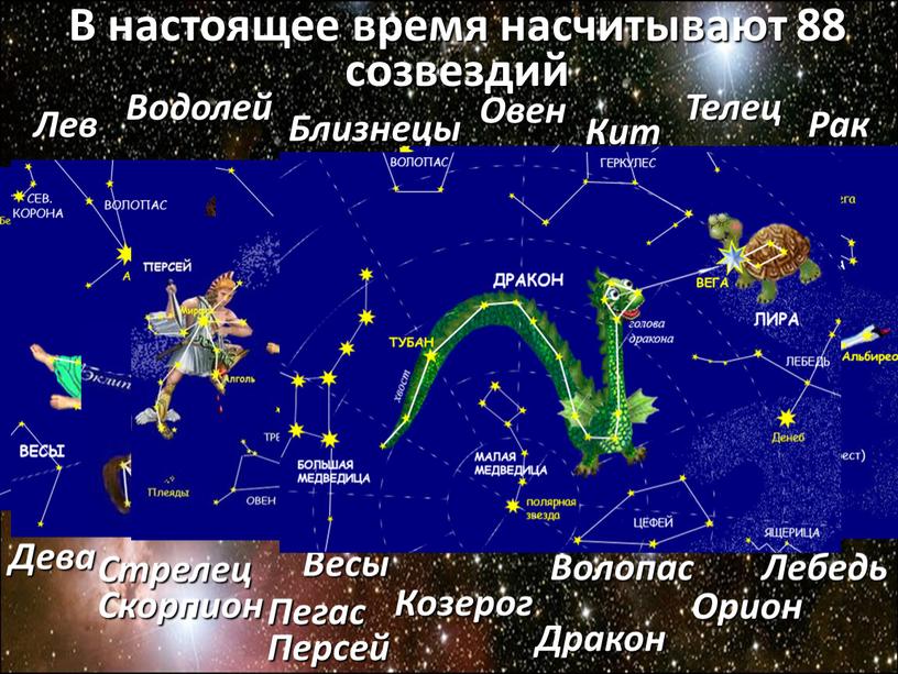 Лев В настоящее время насчитывают 88 созвездий