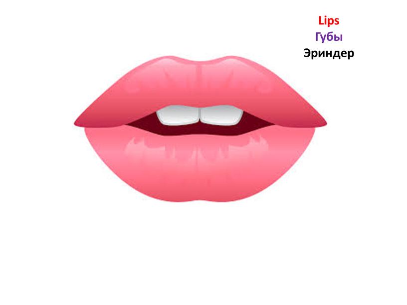 Lips Губы Эриндер