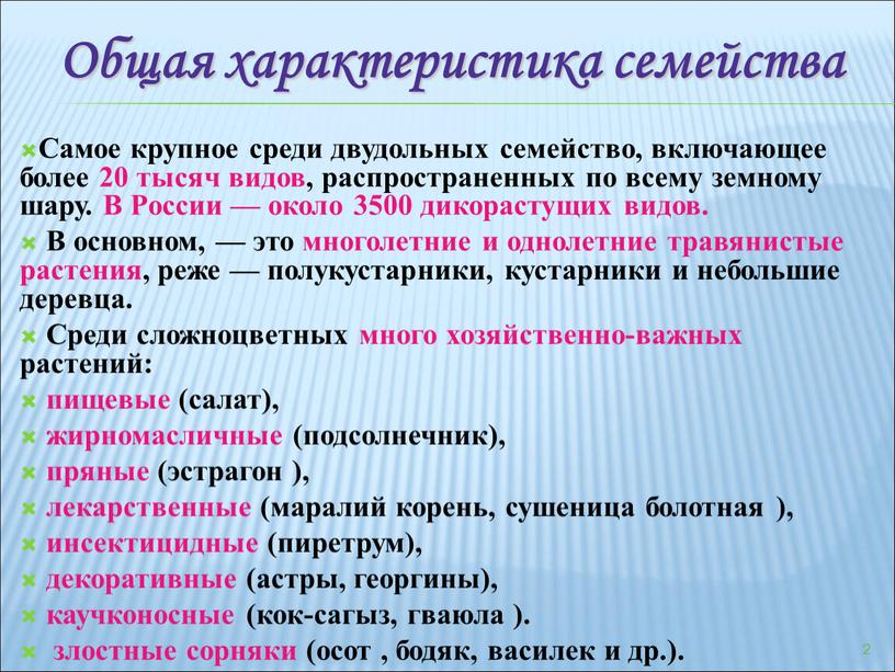 Общая характеристика семейства