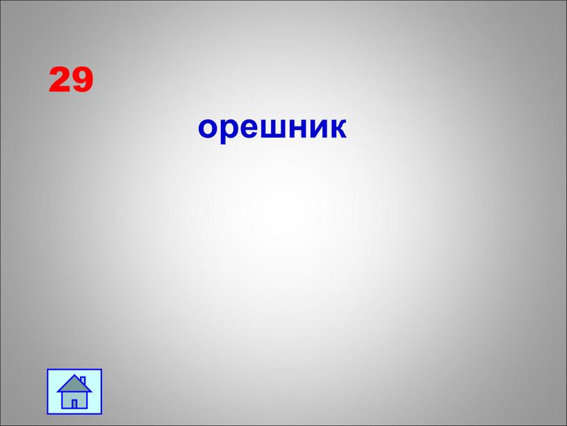 29 орешник