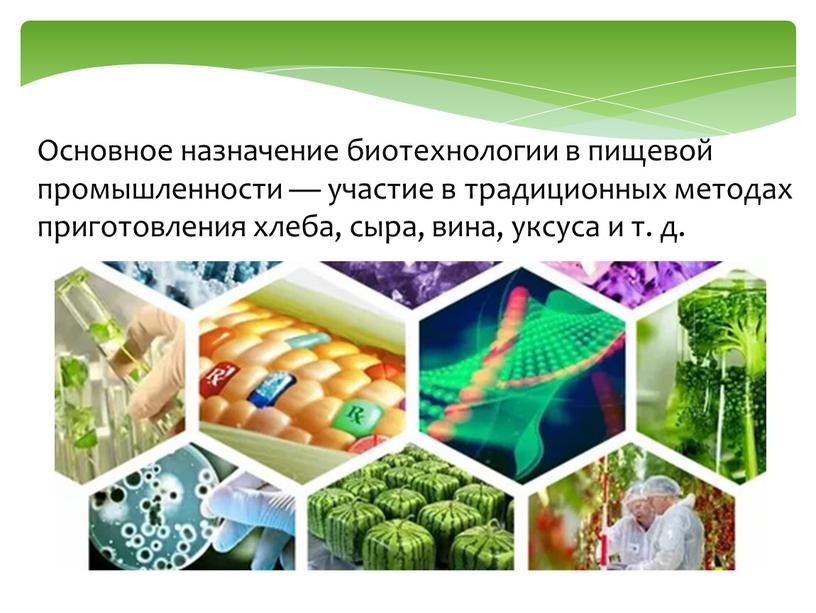 Основное назначение биотехнологии в пищевой промышленности — участие в традиционных методах приготовления хлеба, сыра, вина, уксуса и т