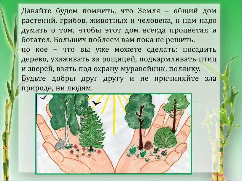 Давайте будем помнить, что Земля – общий дом растений, грибов, животных и человека, и нам надо думать о том, чтобы этот дом всегда процветал и…