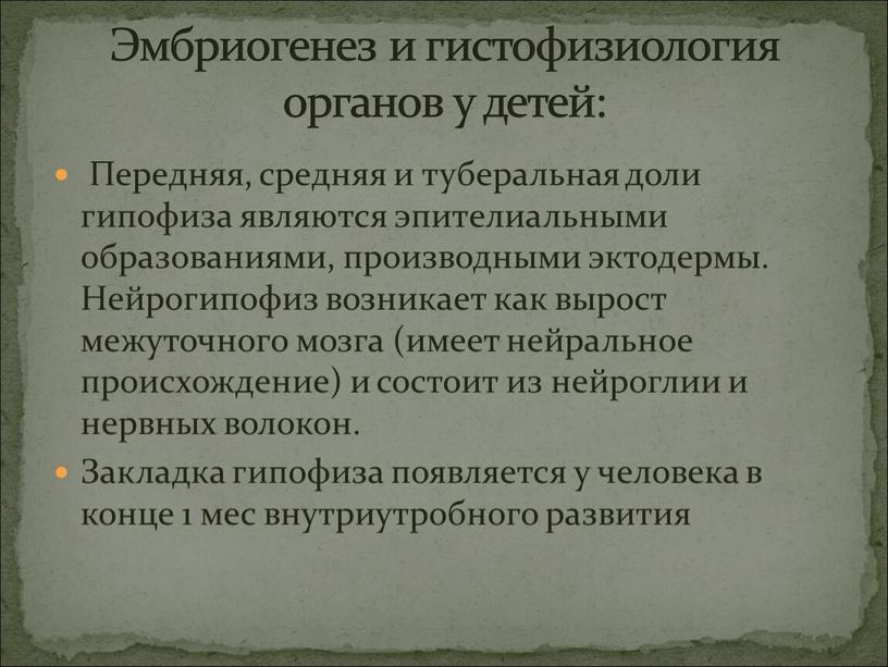 Передняя, средняя и туберальная доли гипофиза являются эпителиальными образованиями, производными эктодермы