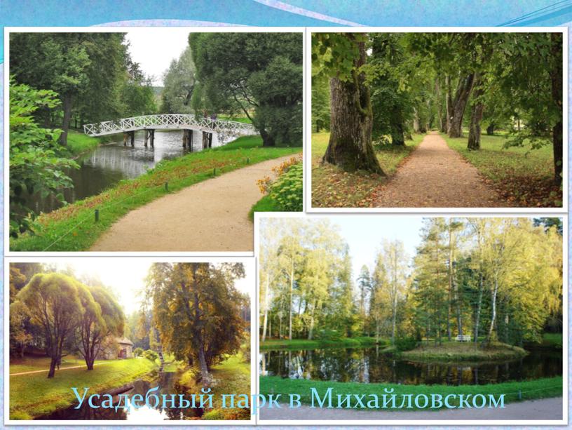 Усадебный парк в Михайловском