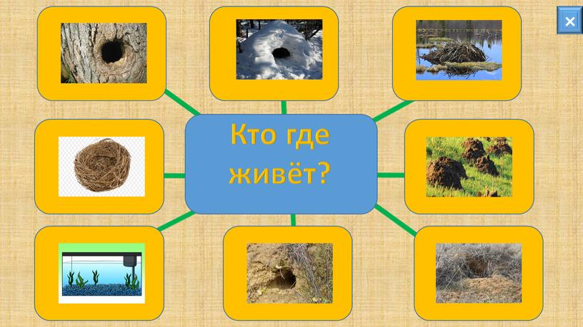 × Кто где живёт?