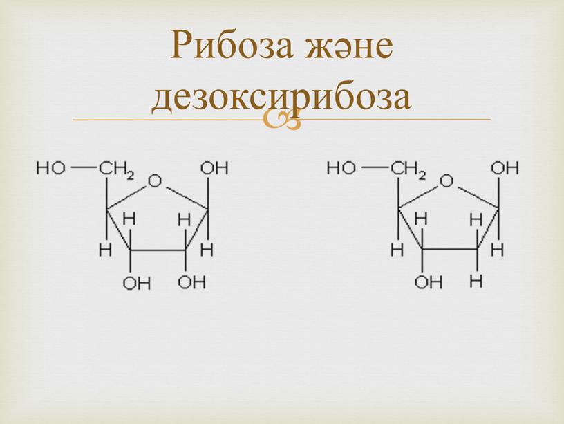 Рибоза және дезоксирибоза