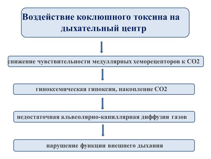 Воздействие коклюшного токсина на дыхательный центр снижение чувствительности медуллярных хеморецепторов к