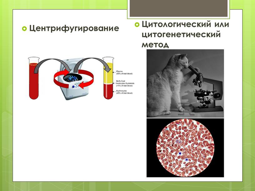 Центрифугирование Цитологический или цитогенетический метод