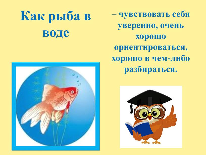 Как рыба в воде – чувствовать себя уверенно, очень хорошо ориентироваться, хорошо в чем-либо разбираться