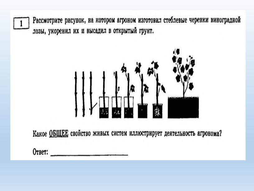 Разбор заданий №1 ОГЭ биология из сборника В.С.Рохлова