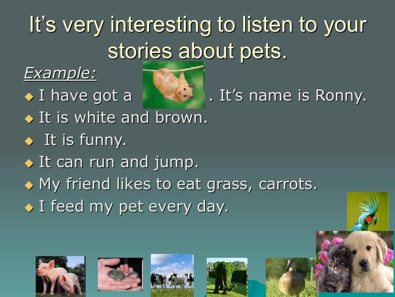 It’s very interesting to listen to your stories about pets