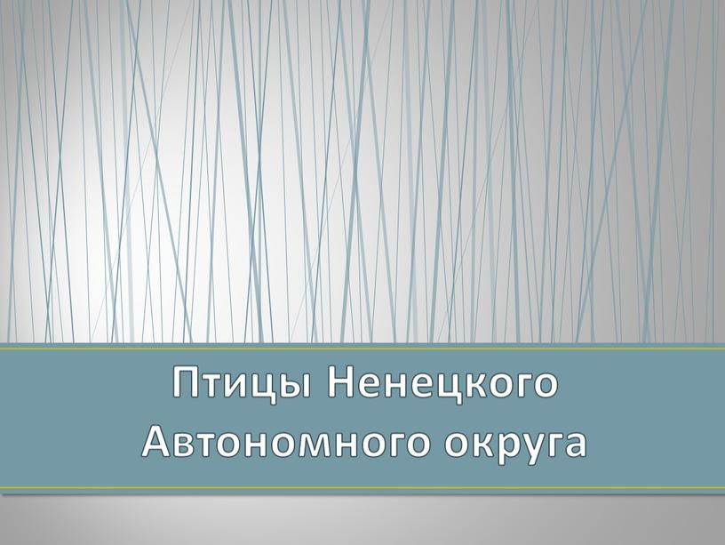 Птицы Ненецкого Автономного округа