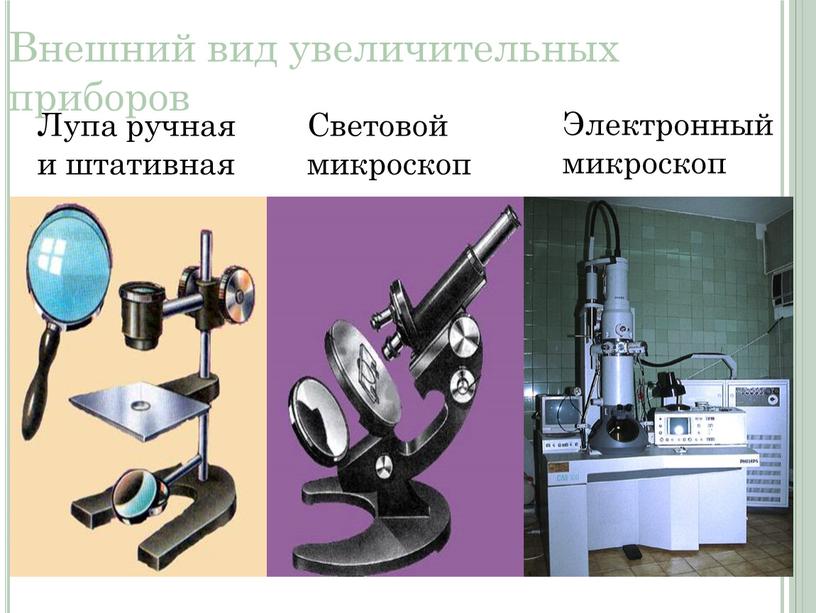 Рассмотрите изображение штативной лупы что обозначено на рисунке буквой а