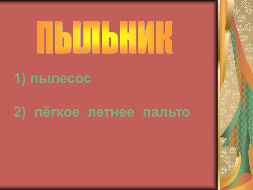 1) пылесос 2) лёгкое летнее пальто ПЫЛЬНИК