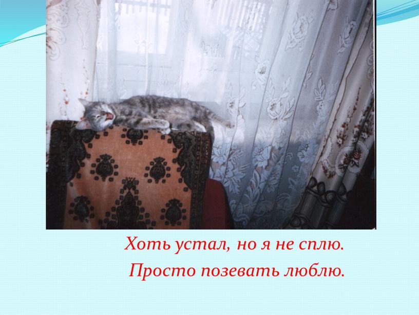 Хоть устал, но я не сплю.