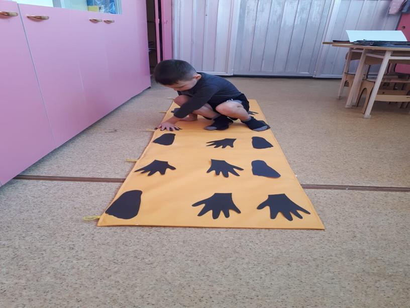 Кинезиологические упражнения при работе с детьми дошкольного возраста с ОВЗ