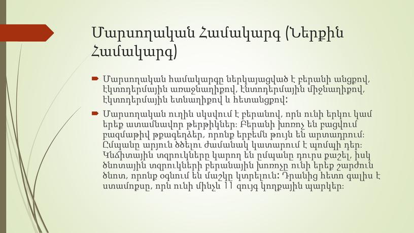 Մարսողական Համակարգ (Ներքին Համակարգ) Մարսողական համակարգը ներկայացված է բերանի անցքով, էկտոդերմային առաջնաղիքով, էնտոդերմային միջնաղիքով, էկտոդերմային ետնաղիքով և հետանցքով։ Մարսողական ուղին սկսվում է բերանով, որն ունի…