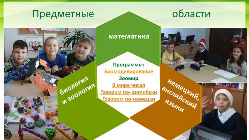 Предметные области математика немецкий, английский языки